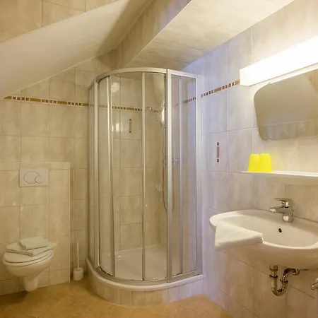 Lechnerhof Hotel-garni Апарт-отель Ахенкирьх